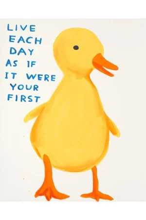 David Shrigley Kağıt Poster Illüstrasyon