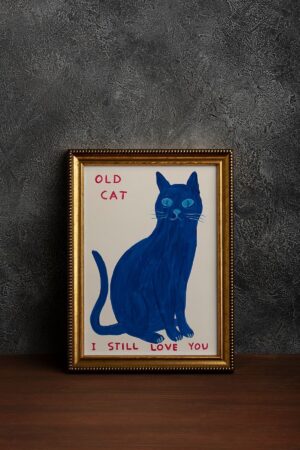 Kağıt Poster David Shrigley Old Cat Illüstrasyon