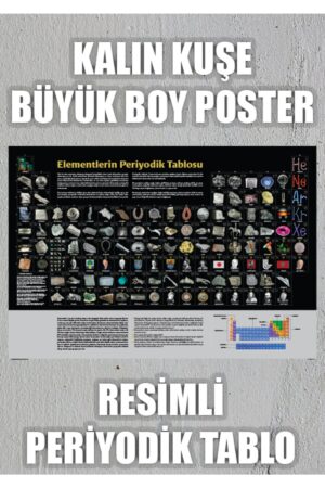 Poster Elementlerin Periyodik Tablosu Resimli - Kalın Kuşe - Periyodik Cetvel