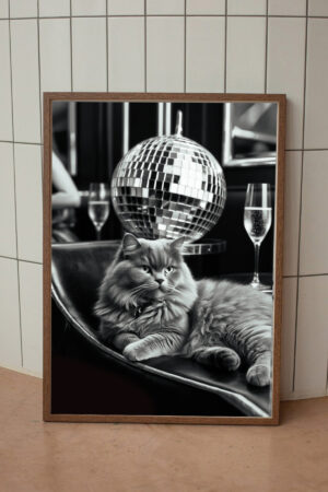 Poster Kedi Disko Topu Retro Disco Cat