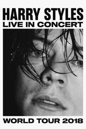 Poster Harry Styles Kuşe Kalın