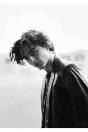 Poster Timothée Chalamet Kalın Kuşe