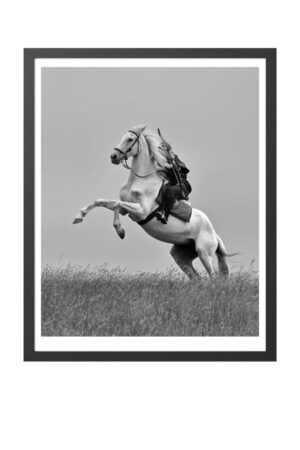 Poster - Running White Horse - Freedom Nature Kalın Kuşe Kağıt