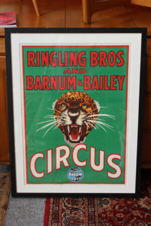 Poster - Singling Birds & Lion - Vintage Yeşil Kaplan Posteri