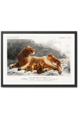Kağıt Poster - Kedi Posteri Cat Kedzilla Kedi İllüstrasyonu Kediseverlere