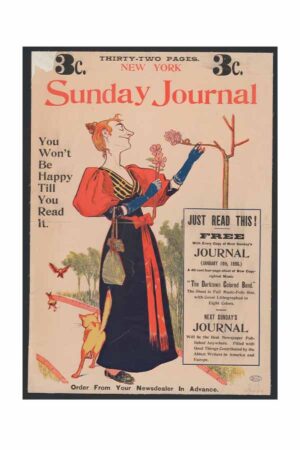 Poster Sunday Journal Vintage Dergi Kapağı Poster Uzaylı Alien